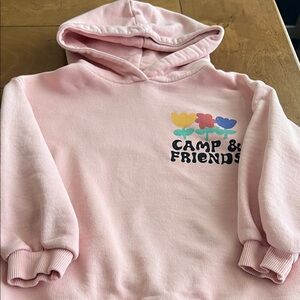 Pink Kids Hoodie by Zara. Size 4-5. GUC